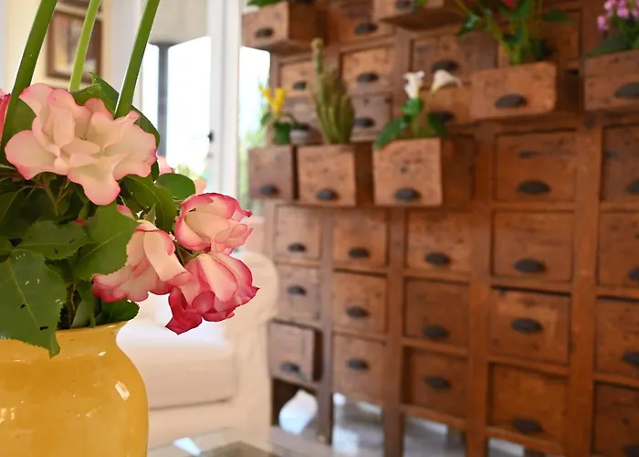 Hotel B&B Montecarlo Milano Marittima